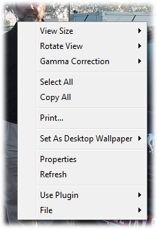 Viewer Pane Context Menu.png